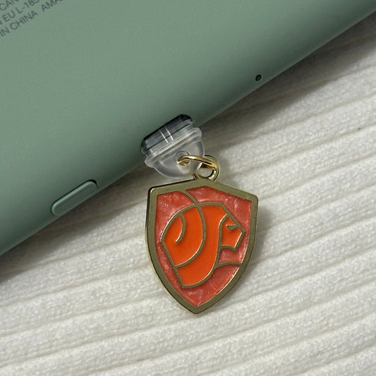 Lion Wizard House Charm