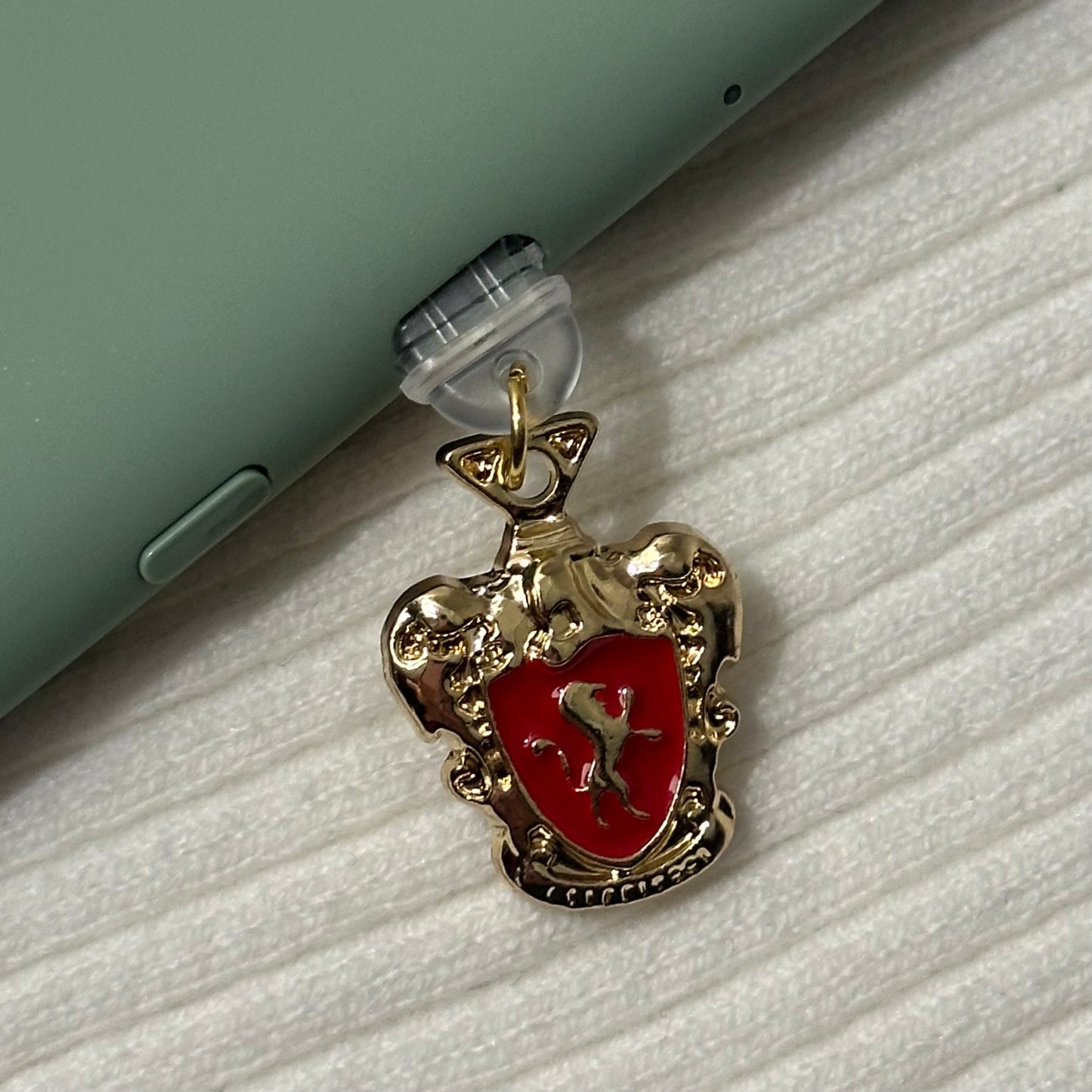 Lion Wizard House Charm